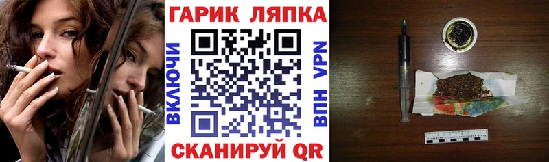 дарнет шоп  Мураши  ГАШИШ гашик 