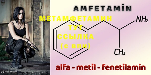 ГАЛЛЮЦИНОГЕННЫЕ ГРИБЫ Инта