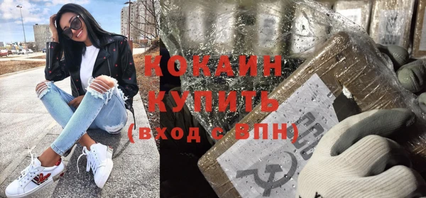 ГАЛЛЮЦИНОГЕННЫЕ ГРИБЫ Инта