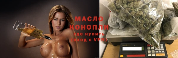 ГАЛЛЮЦИНОГЕННЫЕ ГРИБЫ Инта