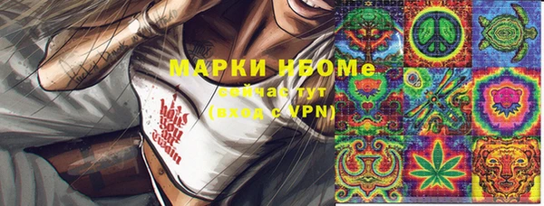 ГАЛЛЮЦИНОГЕННЫЕ ГРИБЫ Инта