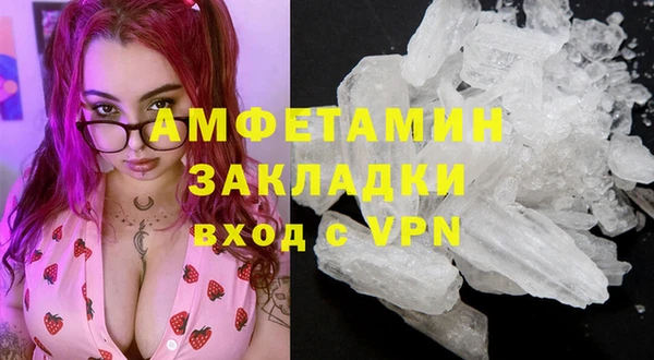 ГАЛЛЮЦИНОГЕННЫЕ ГРИБЫ Инта