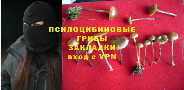 бутират Инсар