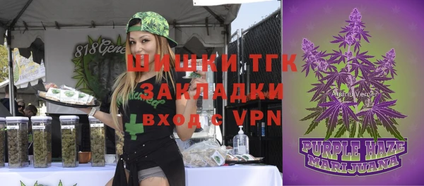 ГАЛЛЮЦИНОГЕННЫЕ ГРИБЫ Инта