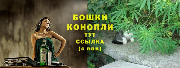 ГАЛЛЮЦИНОГЕННЫЕ ГРИБЫ Инта