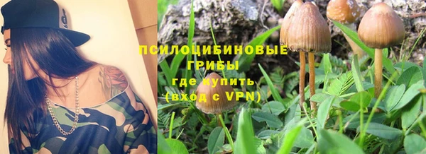 бутират Инсар
